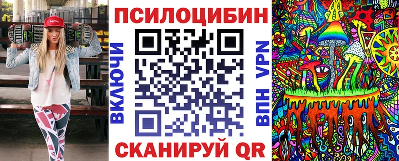 Псилоцибиновые грибы Psilocybe  Купить  Бокситогорск 