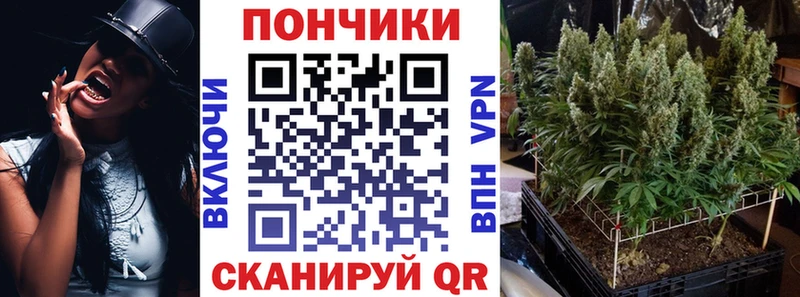 Купить где Бокситогорск Шишки марихуана VHQ